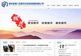 揭东城市开发投资集团有限公司